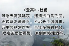 康震品诗词，杜甫《登高》鉴赏视频封面