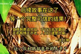 毒教材和杜鹃鸟 #反革命罪 #出版社回应易中天图书被指低俗 #教育视频封面