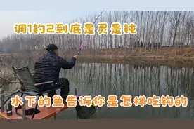 调1钓2到底是灵还是钝，不看不知道，水下的鱼原来是这样吃钩的视频封面
