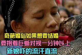 奇葩婚俗，想要结婚需要抱着巨蜥对视一分钟，新娘吓的冷汗直流视频封面