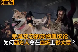 白种人真有优越性？西方人建立变态的宠物血统认证，有何用心？视频封面