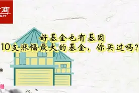 好基金也有基因：10支涨幅最大的基金，你买过吗？视频封面