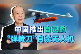 中国推出自己的“弹簧刀”自杀无人机，飞鸿901有什么神奇之处？视频封面