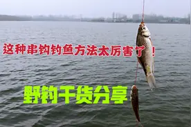 野钓：串钩加上花篮饵笼，没想到作用这么厉害！诱鱼快聚鱼多视频封面