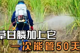 草甘膦加上它，大树、灌木和杂草统统杀灭视频封面