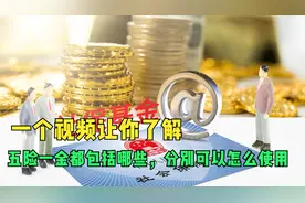 五险一金都包括哪些，分别可以怎么使用，一个视频让你了解视频封面