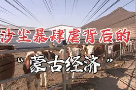 肆虐18个省份的沙尘暴，背后源头竟然是蒙古国？视频封面