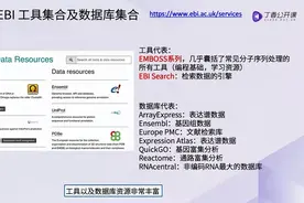 医学生：6基因数据库综合使用：NCBIEnsembleGeneCards （下）视频封面