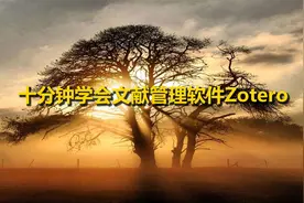 十分钟学会文献管理软件Zotero【转载】视频封面