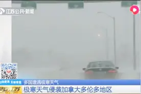 50年一遇！加拿大多伦多地区遭遇极寒天气，大量航班被取消视频封面