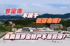 广东省云浮市行政规划不是有罗定市吗？为什么说不是咧难道分家？