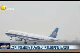 沈阳桃仙国际机场逐步恢复国内客运航班视频封面