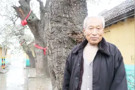 胶东姓氏故事：81岁老先生，讲述“莱阳战氏”的渊源视频封面