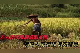 老人顶着酷暑割麦子，被晒的黝黑惹人心疼，呼吁大家不要浪费粮食视频封面