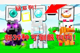 我的世界：新39种可驯服宠物！帅气末影狗可爱蛋糕狗！我全都要！