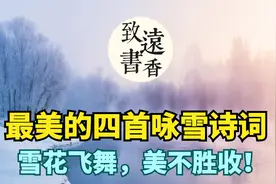 最美的四首咏雪诗词，雪花飞舞，美不胜收！分享给大家视频封面