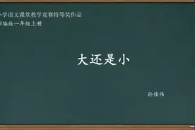 小学语文课堂教学竞赛特等奖作品 《大还是小》教学实录  一上视频封面