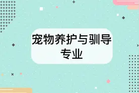 宠物养护与驯导专业怎么样？宠物养护与驯导专业介绍视频封面