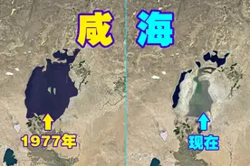 咸海为何在逐渐消失？50年萎缩90%，三维讲解人类有多么疯狂！视频封面