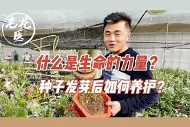什么是生命的力量？种子发芽后如何养护？养花必懂小知识视频封面