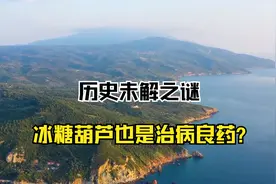 历史未解之谜：冰糖葫芦也是治病良药？视频封面