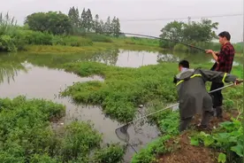 暴雨天气钓鱼，一口没有，雨停后换个钓点，下杆就中大物，真爽视频封面
