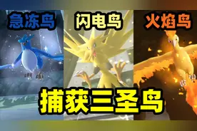 宝可梦GO大结局：打败四大天王后，我成功捕获了三只神兽圣鸟！