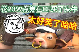 默心：CF花23W点券买了牛牛AK，游戏玩着太好笑了哈哈哈