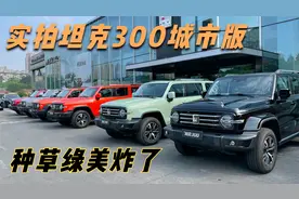 实拍坦克300颜色，新增的种草绿美炸了，你喜欢哪个颜色？视频封面