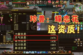 天龙八部端游：记录生蝶恋花珍兽+第一胎就出2400+资质。视频封面