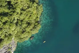 历史记录：《“圣祖”皇帝啥意思？为何两位都是神？》视频封面