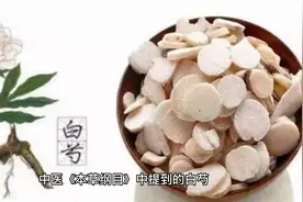 白芍是一种常用中药材，有活血化瘀、安神定志、抗炎镇痛等药效。视频封面