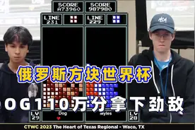 俄罗斯方块：DOG110万分配合急速消除，轻松拿下多年劲敌视频封面