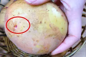 这4种“翻新土豆”牢记不要买，菜贩子自己都不吃，教你一眼分辨视频封面