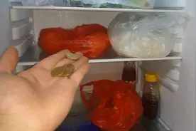 留心！冰箱里定要放枚五角硬币，看完你会明白视频封面