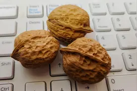 吃剩核桃壳不要扔，加入一水发酵养花，养啥花啥花旺视频封面