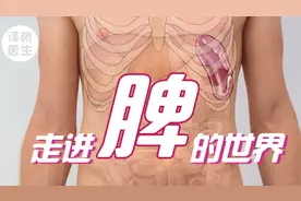 十人九“脾虚”？让我们走进脾的世界，了解脾胃对人体的重要作用