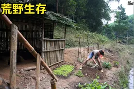 小海独自在野外生活，为了方便做饭，建造一个大厨房视频封面