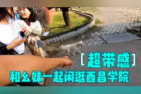 冬子下午和两个幺妹一起逛西昌学院，参观男女生宿舍和食堂视频封面