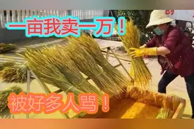 农村户口转到城市的请注意！满足下列两个条件有机会转回来！视频封面