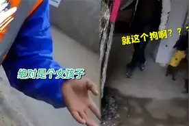 结局反转！热心市民报警称"黄衣小女孩"被捂嘴拐卖 警方一查爆笑视频封面