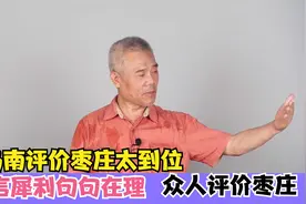 司马南评价枣庄太到位，语言犀利句句在理，众人评价枣庄视频封面