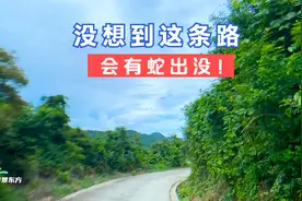 三亚打工老哥周末带老婆爬山，意外发现“一条大蛇”，吓坏了视频封面