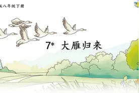 人教版语文八年级下册第7课《大雁归来》视频封面