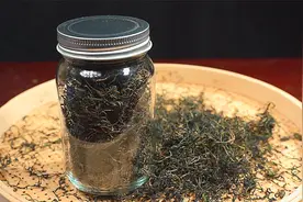 春天，你知道蒲公英有什么作用吗？学会这样做，解决很多人的烦恼视频封面