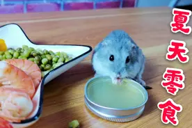 主人用黄瓜和芒果，给小仓鼠制作夏天吃的零食，还不错哦。视频封面