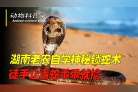 湖南老农自学神秘锁蛇术，徒手捕蛇，能让毒蛇自觉避开