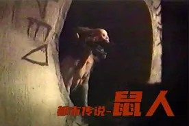 下水道发现鼠人,记者拍摄珍贵资料-影视内容视频封面