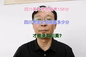 四川美术学院校考156分，四川考生文化课需要多少才有可能录取？视频封面