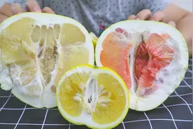 试吃三款不同的柚子，红心柚，印度柚，葡萄柚，有什么区别啊？视频封面